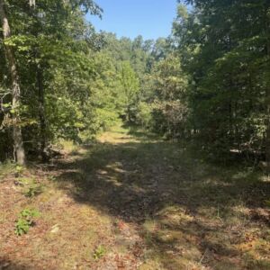 1.62 acres in Poplar Bluff, MO (Butler County) - APN 1090809320000000004010 (photo 14)